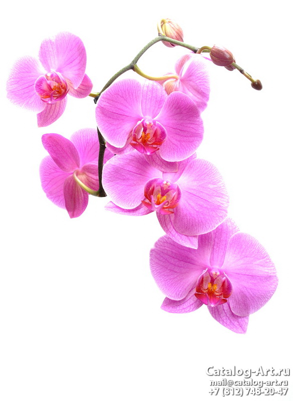 картинки для фотопечати на потолках, идеи, фото, образцы - Потолки с фотопечатью - Розовые орхидеи 89